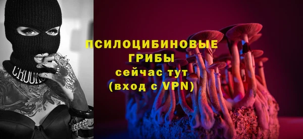 не бодяженный Осинники