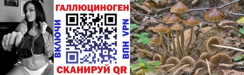 Псилоцибиновые грибы Psilocybe  Калязин 